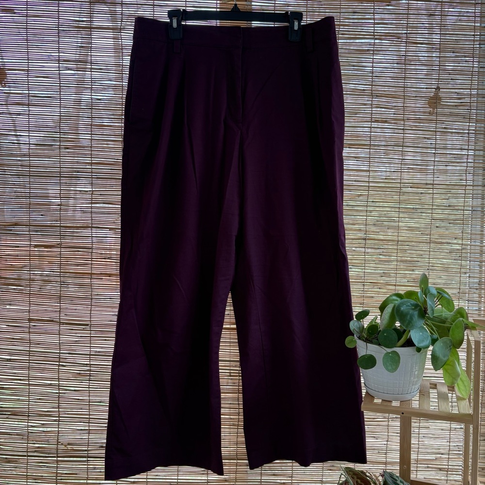 Ann Taylor Plum Trousers